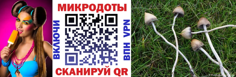что такое   Сердобск  Галлюциногенные грибы GOLDEN TEACHER 