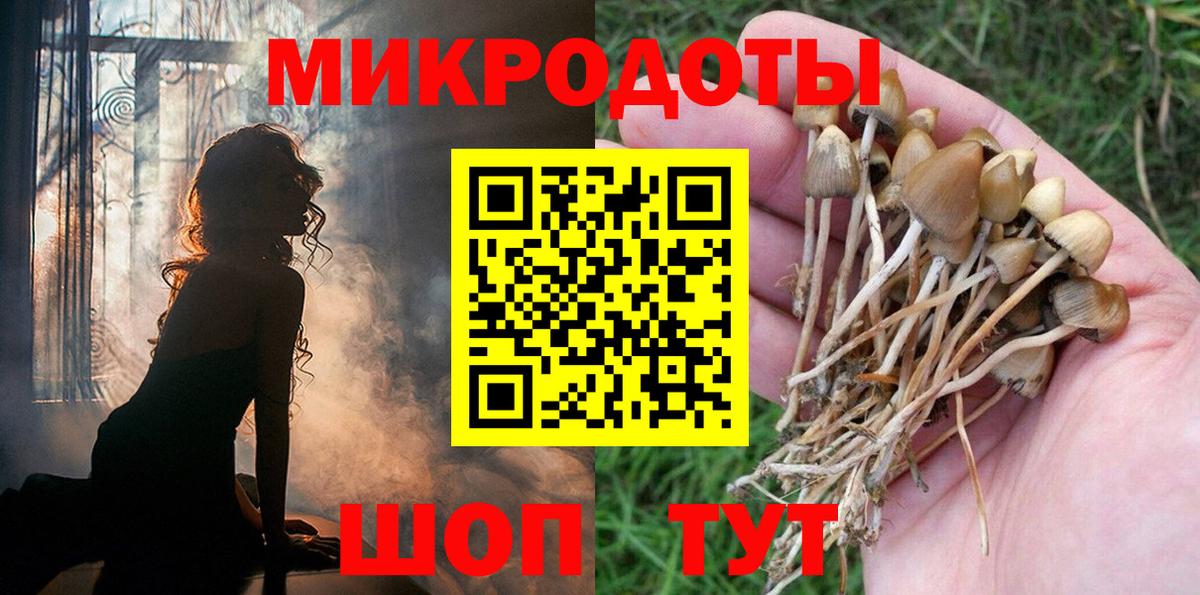 Галлюциногенные грибы Psilocybe  Вход с VPN  Сердобск 